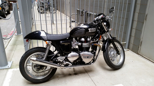 triumph thruxton 900cc